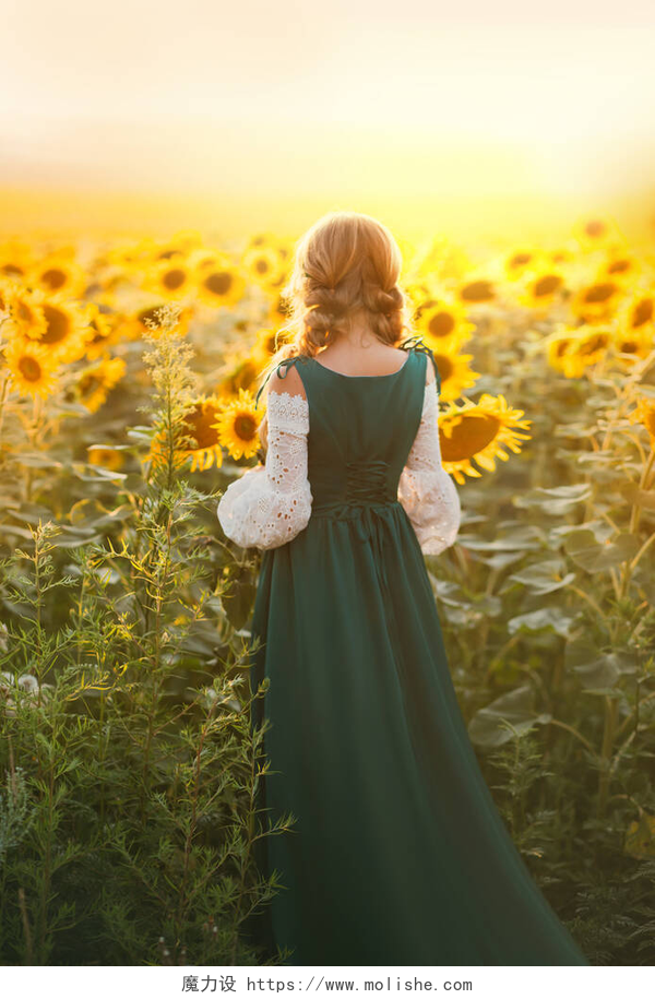 女孩站在向日葵花海前年轻的农村女农民后视镜。巴伐利亚美丽的绿色衣服中世纪的民族服装。发型金发碧眼的两个辫子女孩走在夏日繁茂的田野里，黄花绽放着向日葵
